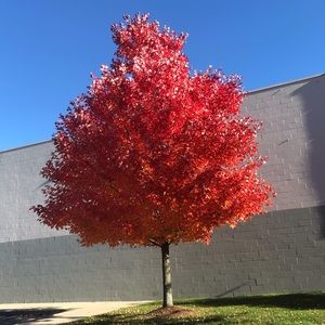 Meet your Posher, Jolie